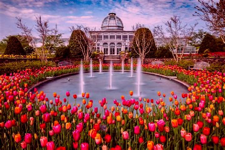Rose, 21 — Escort in Pleasant View Gardens, United States