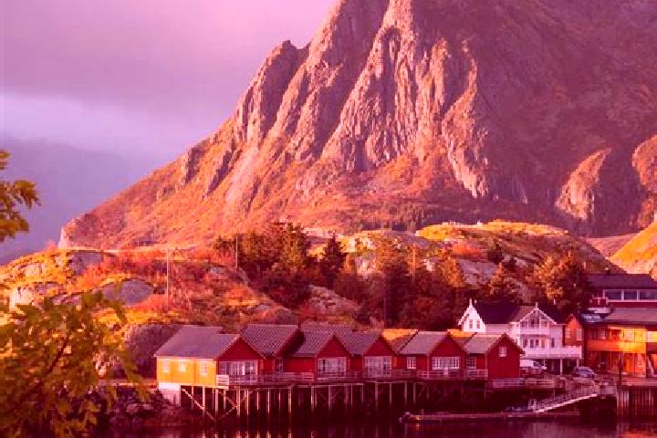 Rose, 21 — Escort in Rorvik, Sweden