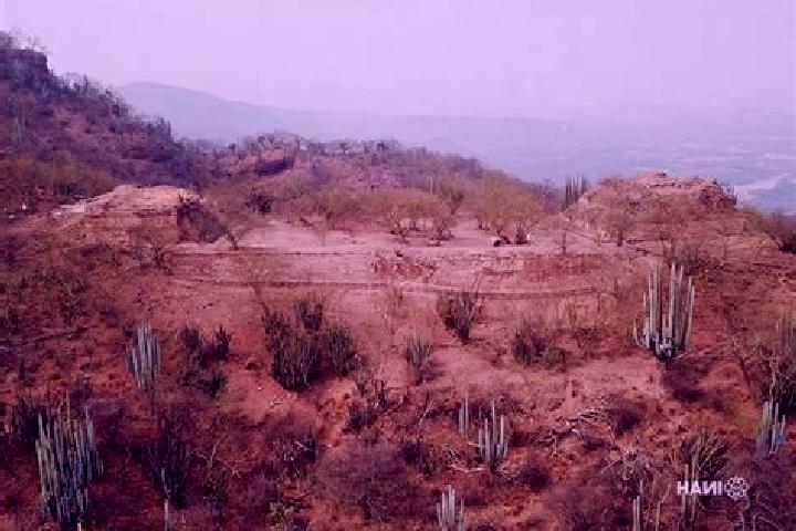 Rose, 21 — Escort in San Juan Quiotepec, Mexico