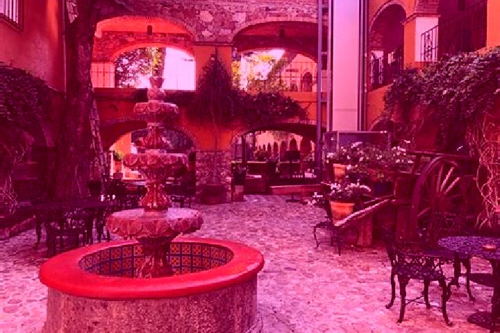 Rose, 21 — Escort in San Miguel Monteverde, Mexico
