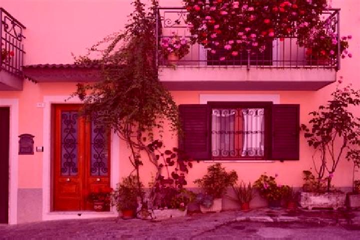 Rose, 21 — Escort in Trecchina, Italy