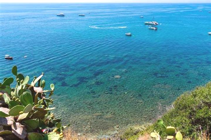 Rose, 22, a red green-eyed caribbean companion based in Marina di Casal Velino. Offering Party Girl, Travel Companion, Deep French Kissing, CIM. Available fo...