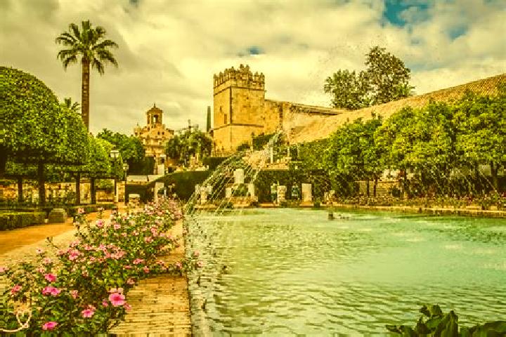 Rose, 22 — Escort in Alcazar de San Juan, Spain