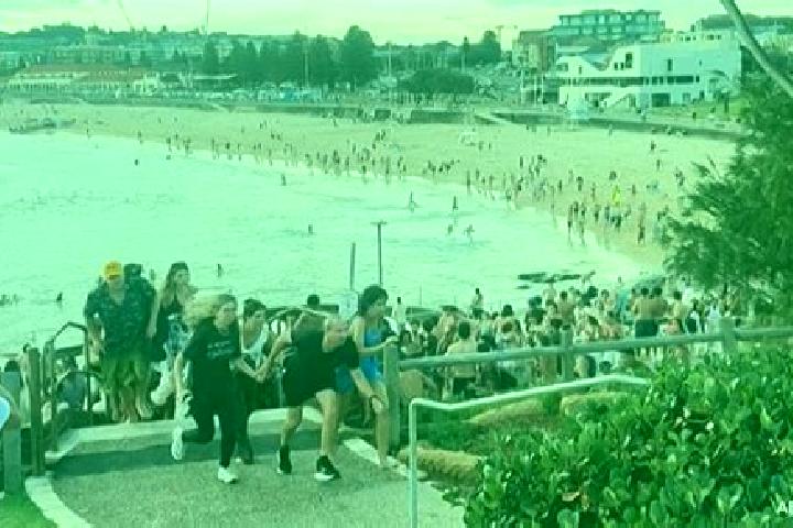Rose, 22 — Escort in Bondi Beach, Australia