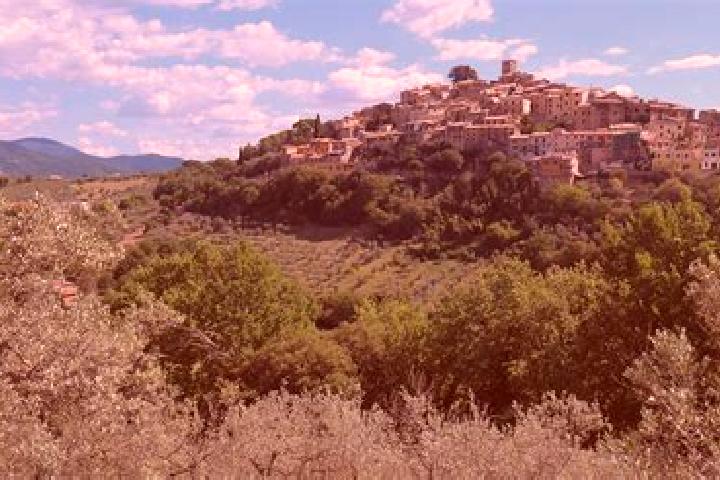 Rose, 22 — Escort in Casperia, Italy