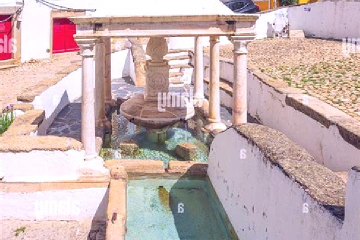 Rose, 22 — Escort in Castelo de Vide, Portugal