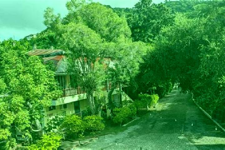 Rose, 22 — Escort in Castle Comfort, Dominica