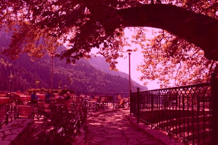 Rose, 22 — Escort in Elati, Greece