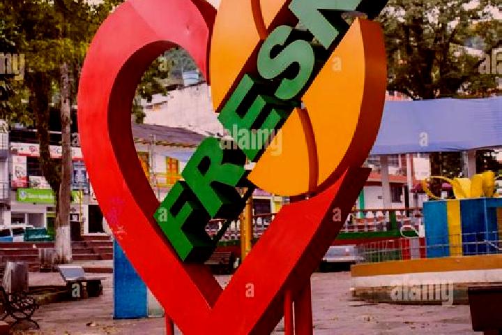 Rose, 22 — Escort in Fresno, Colombia
