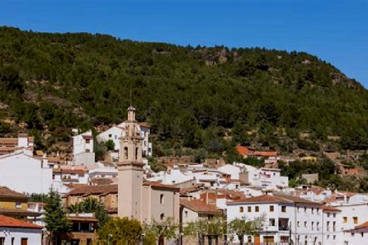 Rose, 22 — Escort in Fuentes de Ayodar, Spain