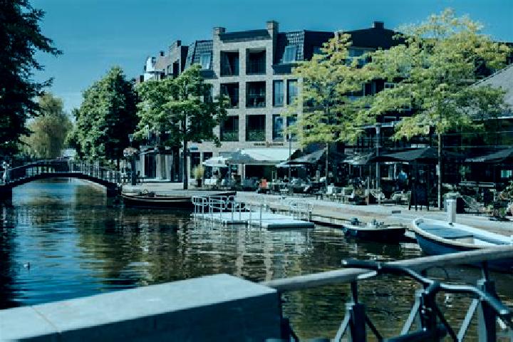 Rose, 22 — Escort in Gouwsluis, Netherlands