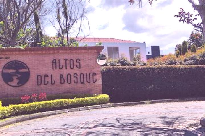 Rose, 22 — Escort in Isla del Bosque, Mexico