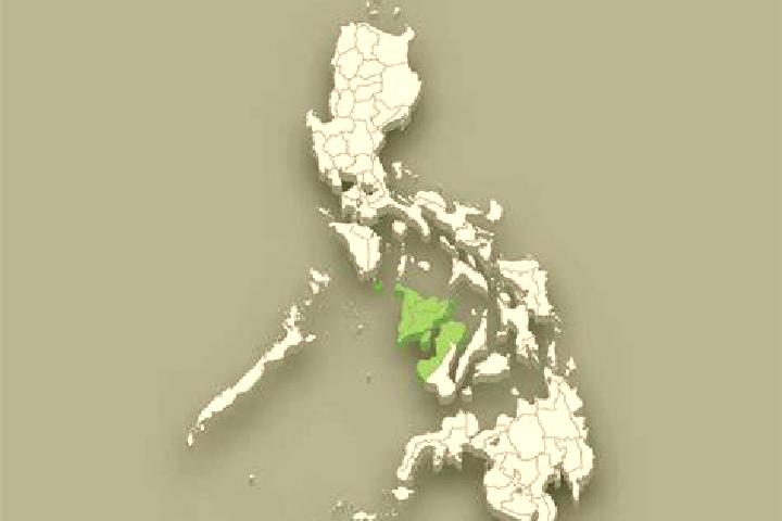 Rose, 22 — Escort in Mabunga, Philippines