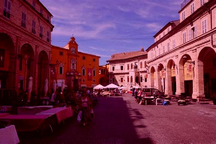 Rose, 22 — Escort in Monteleone di Fermo, Italy