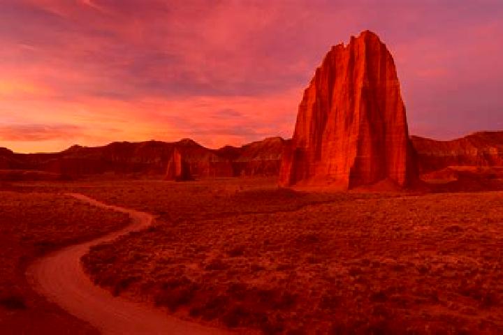 Rose, 22 — Escort in Sandstone, United States