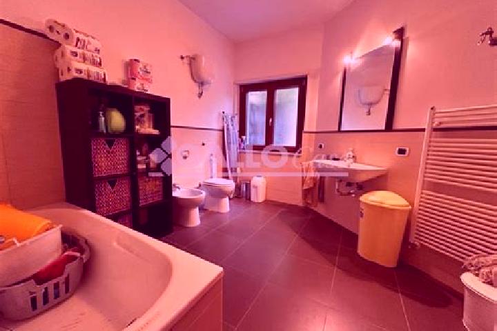 Rose, 22 — Escort in Spezzano Piccolo, Italy