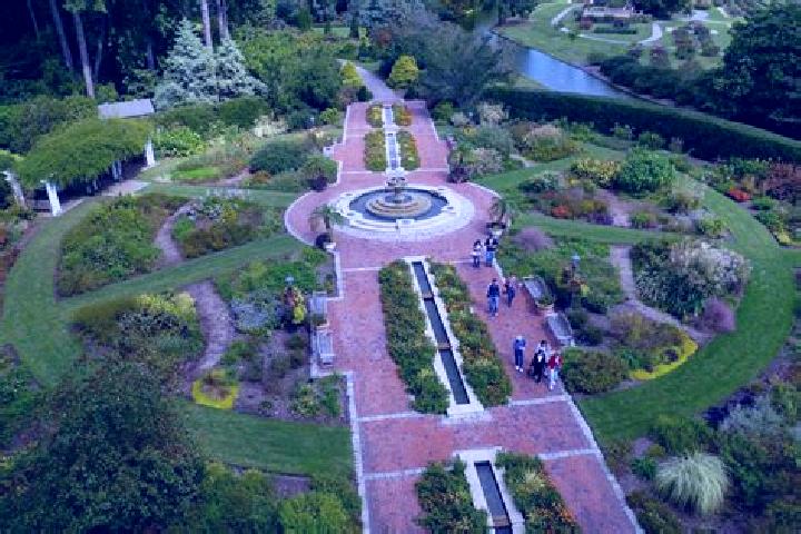 Rose, 22 — Escort in Venice Gardens, United States