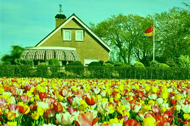 Rose, 22 — Escort in Zoutelande, Netherlands