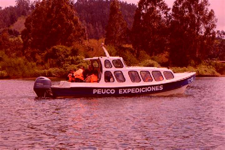 Rose, 23 — Escort in Carahue, Chile