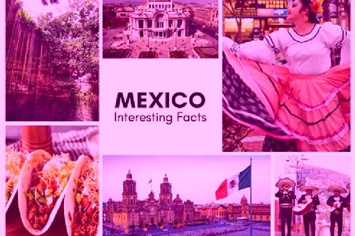 Rose, 23 — Escort in Coxolico, Mexico