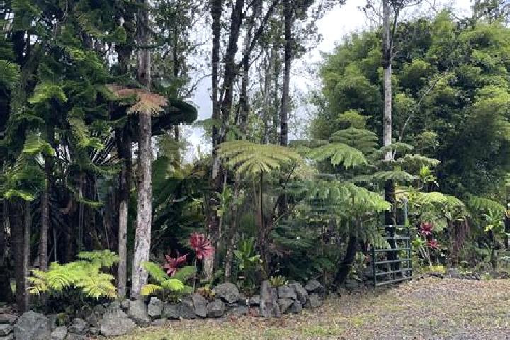 Rose, 23 — Escort in Fern Forest, United States