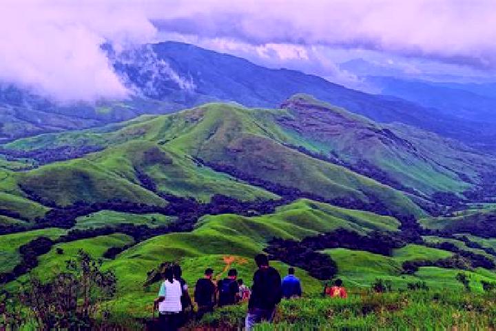 Rose, 23 — Escort in Kudremukh, India
