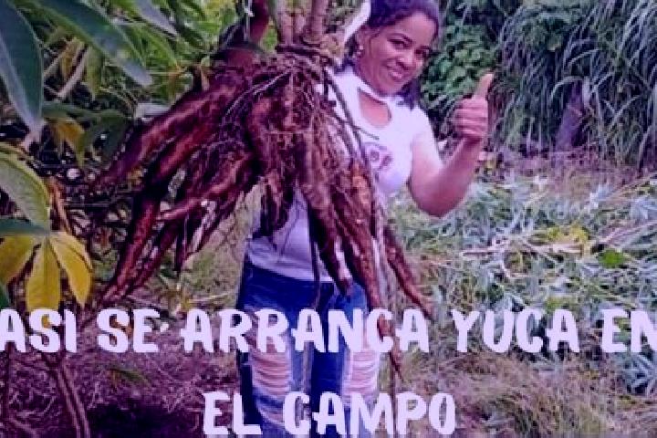 Rose, 23 — Escort in La Yuca, Venezuela
