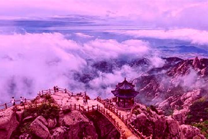 Rose, 23 — Escort in Laishan, China