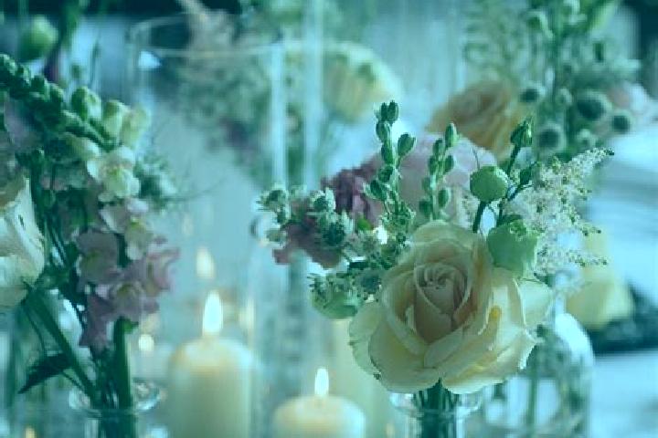 Rose, 23 — Escort in Meadow Glade, United States