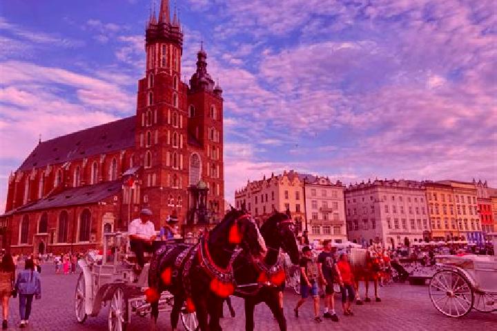 Rose, 23 — Escort in Ogrodzona, Poland