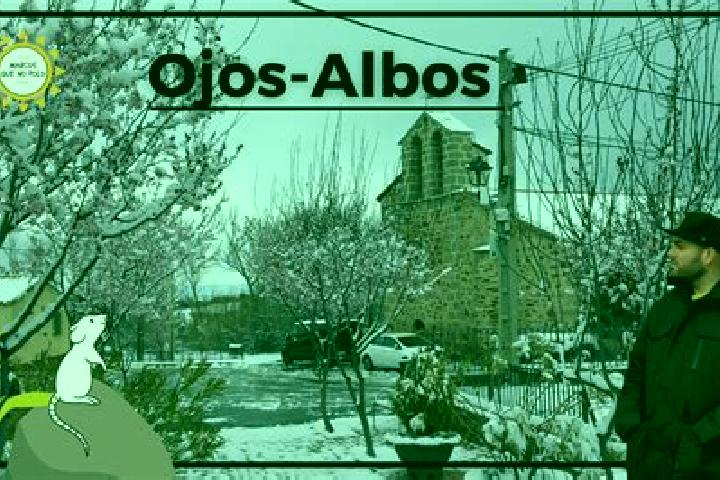 Rose, 23 — Escort in Ojos-Albos, Spain