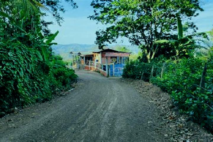 Rose, 23 — Escort in Wiwili, Nicaragua
