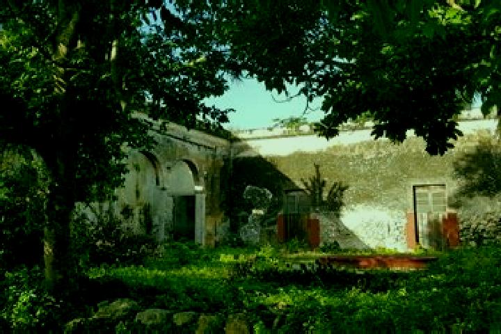 Rose, 23 — Escort in Xcunya, Mexico