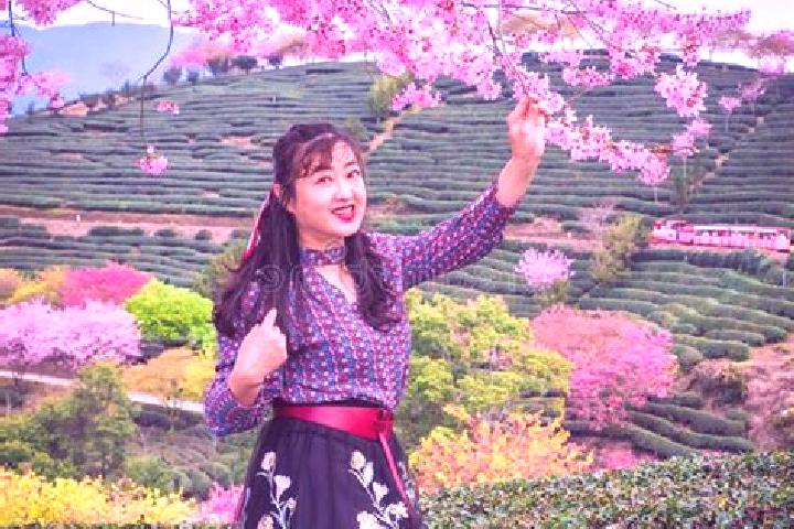 Rose, 23 — Escort in Yongfu, China