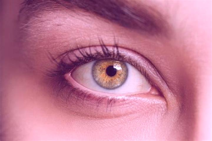 Rose, 24, a black hazel-eyed ebony companion based in Upper Exeter. Offering CIM, A-Level, Domination, Prostate Massage. Available for incall and outcall, da...
