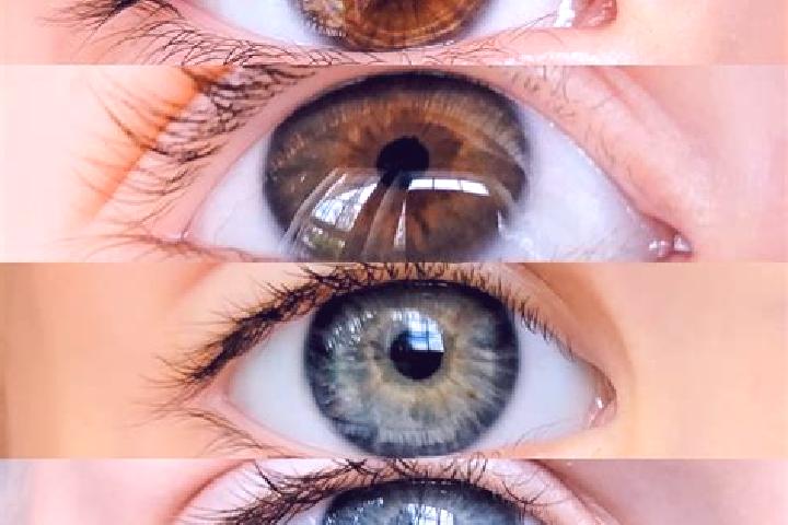 Rose, 24, a chestnut grey-eyed mixed companion based in Bernhardswald. Offering Tantra, A-Level, Duos. Available for incall and outcall, day and evening dates.