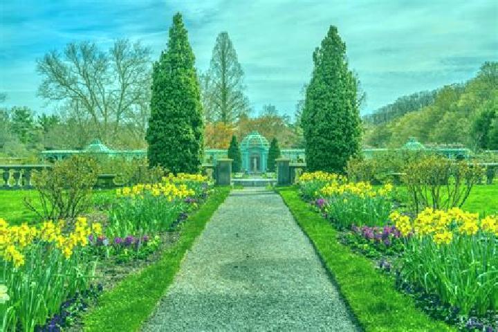 Rose, 24 — Escort in Brander Gardens, Canada