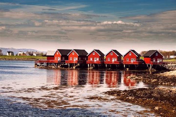 Rose, 24 — Escort in Brekstad, Norway