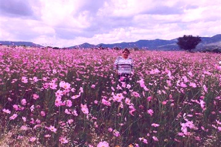 Rose, 24 — Escort in Comanja, Mexico