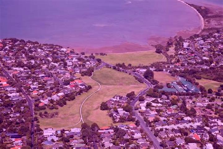 Rose, 24 — Escort in Glendowie, New Zealand