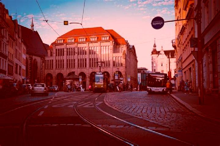 Rose, 24 — Escort in Goerlitz, Germany