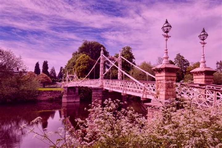 Rose, 24 — Escort in Hereford, United Kingdom