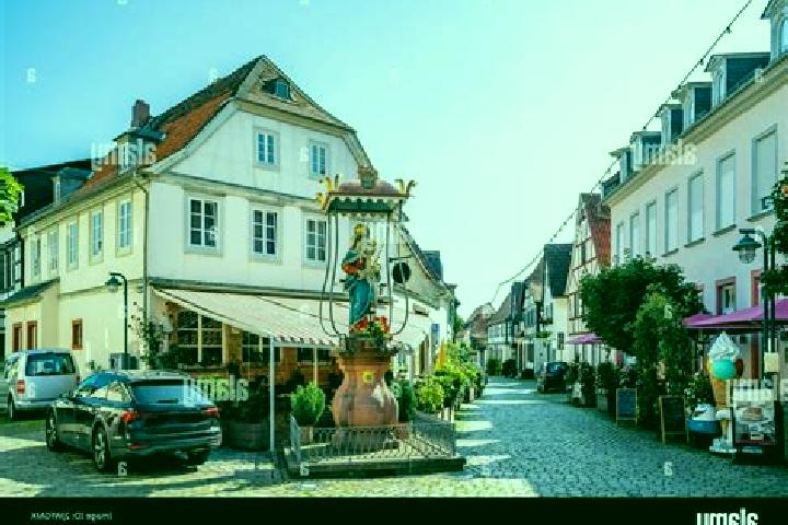 Rose, 24 — Escort in Hochheim am Main, Germany