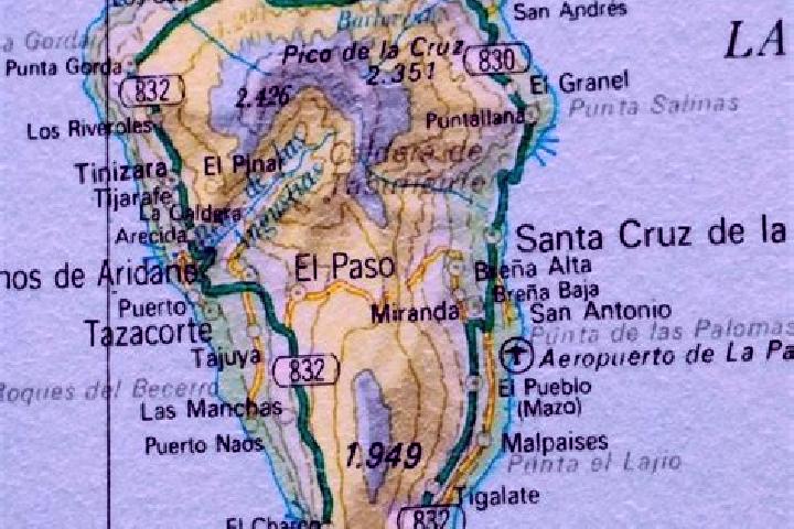Rose, 24 — Escort in La Palma Uno, Mexico
