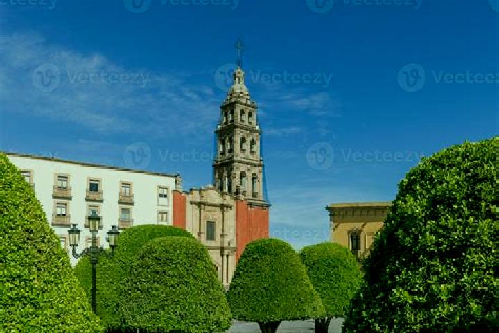 Rose, 24 — Escort in Los Martires Uno, Mexico