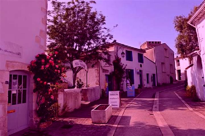 Rose, 24 — Escort in Mornac-sur-Seudre, France