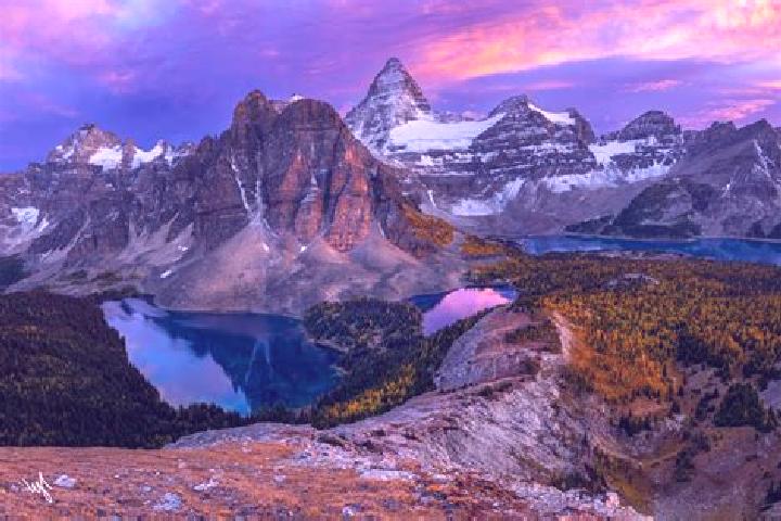 Rose, 24 — Escort in Mount Forest, Canada
