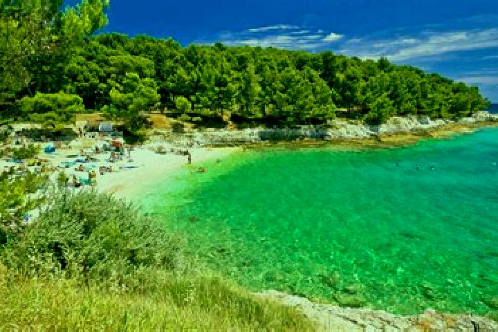 Rose, 24 — Escort in Presika, Croatia