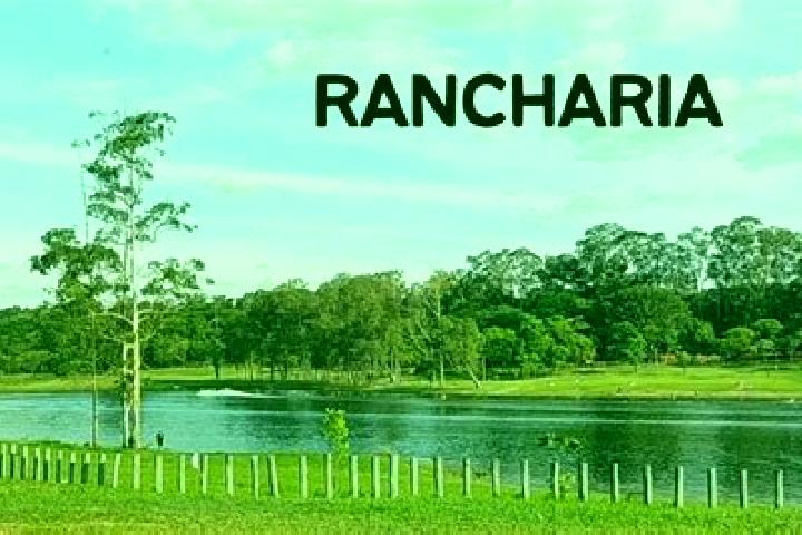 Rose, 24 — Escort in Rancharia, Brazil