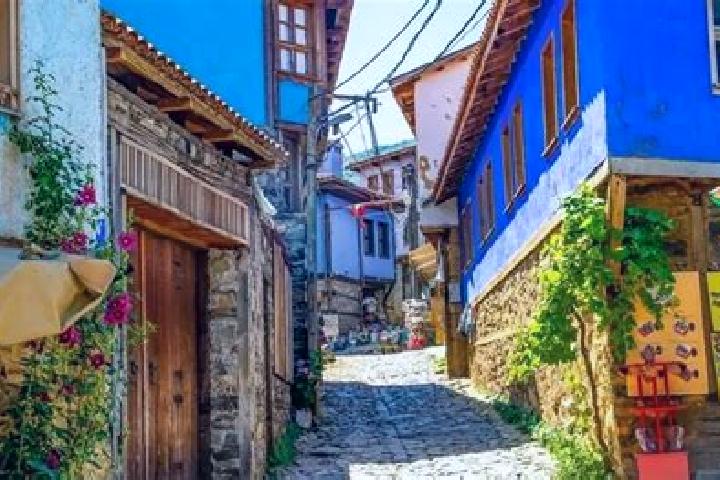 Rose, 24 — Escort in Sarihacilar, Turkey